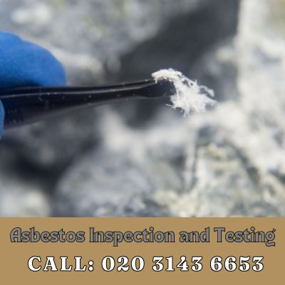 Comprehensive Asbestos Inspection and Testing Services in Whetstone